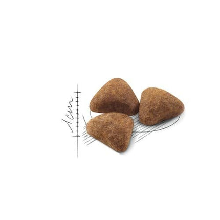 Royal Canin Cat Royal Canin Home Life Dry Food for Indoor Adult Cats 1-10 Years-4 kg