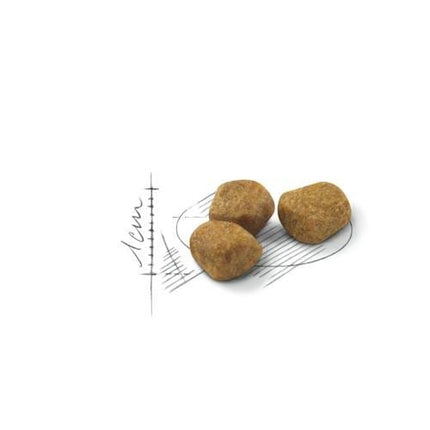 Royal Canin Cat Royal Canin Home Life Dry Food for Indoor Cats 7+ Years 1.5kg