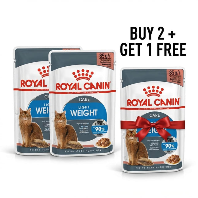 Royal Canin Cat Royal Canin Light Weight Wet Food Slices in Gravy for Adult Cats 85 gr Buy 2 Get 1 Free