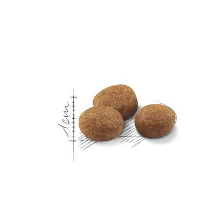 Royal Canin Cat Royal Canin Regular Dry Food for Sterilized Cats 1.5 kg
