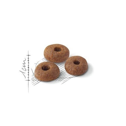 Royal Canin Cat Royal Canin Regular Fit 32 Dry Food for Adult Cats 2 kg