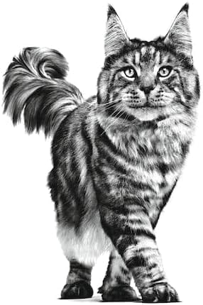 Royal Canin Cat Royal Canin Satiety Weight Management Cat Food Pouch 85 gm