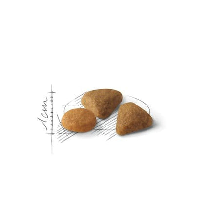 Royal Canin Cat Royal Canin Savour Exigent Dry Food for Fussy Adult Cats  2 kg
