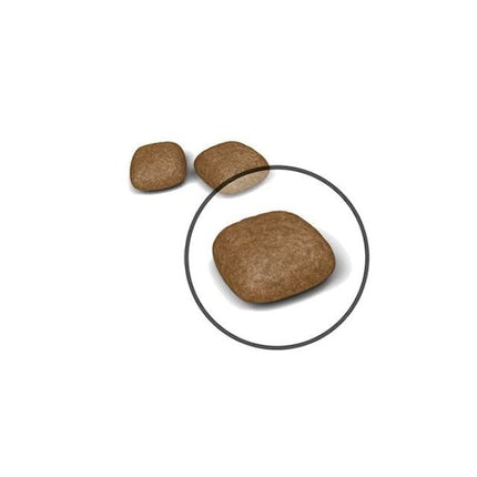 Royal Canin Cat Royal Canin Urinary Care Dry Food for adult Cat 4 kg