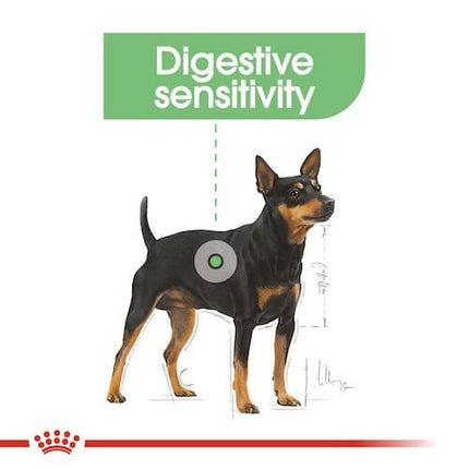 Royal Canin Dog Royal Canin Digestive Care  Mini Breed 3kg