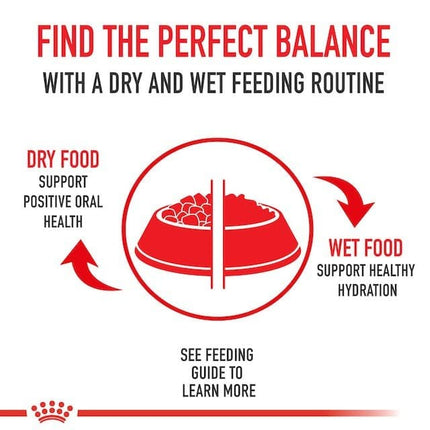 Royal Canin Dog Royal Canin Dry Dog Food for Adult Cavalier King Charles 3kg