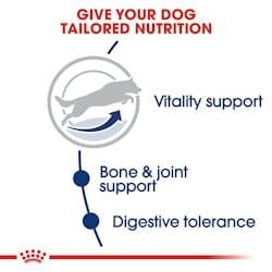 Royal Canin Dog Royal Canin Dry Food for Maxi Breed Adult Dogs 5+ Years 15 kg