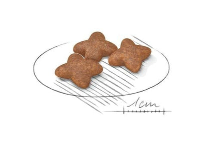 Royal Canin Dog Royal Canin Dry Food for Mini Breed Adult Dogs +10 Months and Up to 10 kg 4 kg