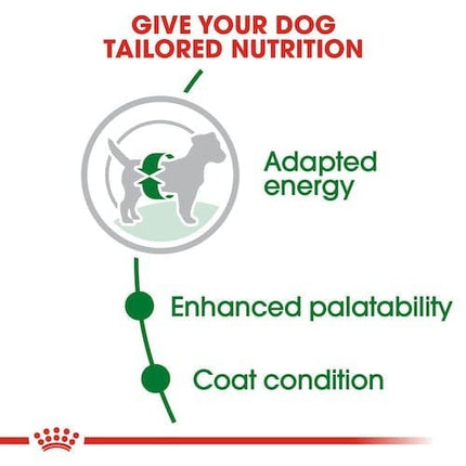 Royal Canin Dog Royal Canin Dry Food for Mini Breed Adult Dogs +10 Months and Up to 10 kg 4 kg