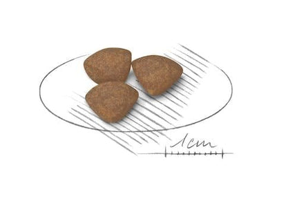Royal Canin Dog Royal Canin Dry Food for Mini Breed Puppies 2-10 Months and Up to 10 kg 2 kg