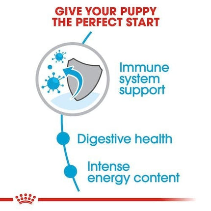 Royal Canin Dog Royal Canin Dry Food for Mini Breed Puppies 2-10 Months and Up to 10 kg 2 kg