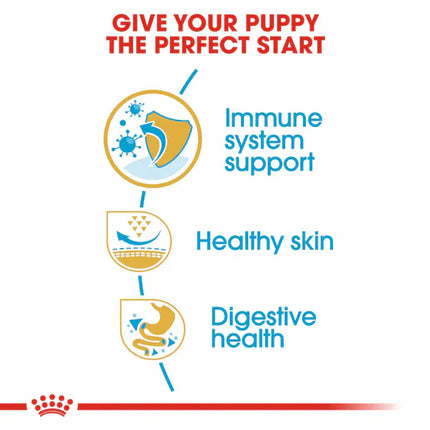 Royal Canin Dog Royal Canin Dry Food for Pug Puppies Up to 10 Months 1.5 kg