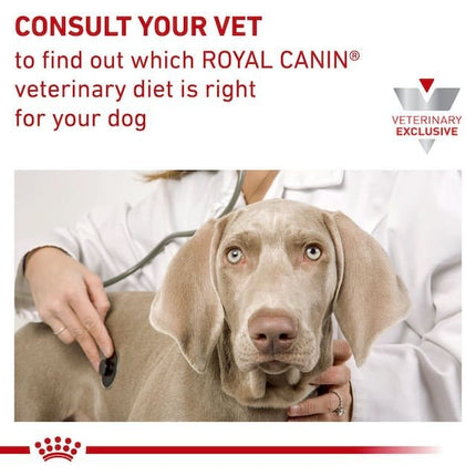 Royal Canin Dog Royal Canin Hepatic Dry Food for Dog 1.5 kg