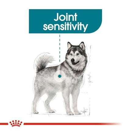 Royal Canin Dog Royal Canin Joint Care Dry Food for Maxi Breed Adult Dogs10 kg
