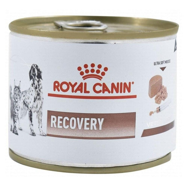 Royal Canin Dog Royal Canin Recovery Ultra Soft Mousse Diabetic Wet Food 195 gr