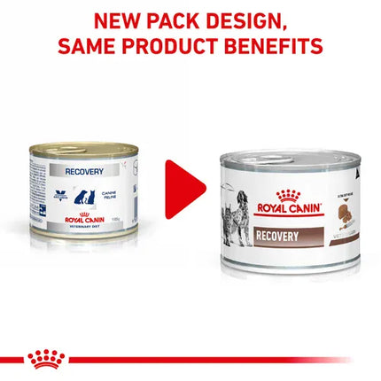 Royal Canin Dog Royal Canin Recovery Ultra Soft Mousse Diabetic Wet Food 195 gr