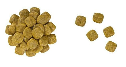 Royal Canin Dog Royal Canin Renal Dry Food for Adult Dogs 2 kg