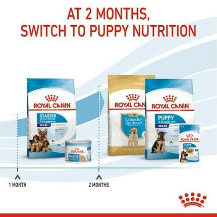 Royal Canin Dog Royal Canin Starter Dry Food for Maxi Breed Mother and Baby Dogs 4 kg
