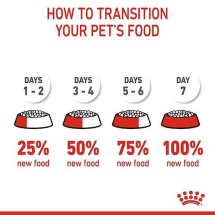 Royal Canin Dog Royal Canin Starter Dry Food for Mini Breed Mother and Baby Dogs 1 kg