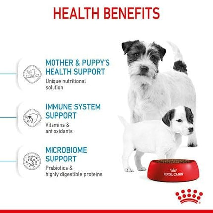 Royal Canin Dog Royal Canin Starter Dry Food for Mini Breed Mother and Baby Dogs 1 kg