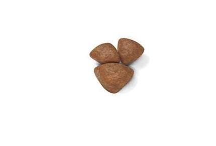 Royal Canin Dog Royal Canin Starter Dry Food for Mini Breed Mother and Baby Dogs 1 kg