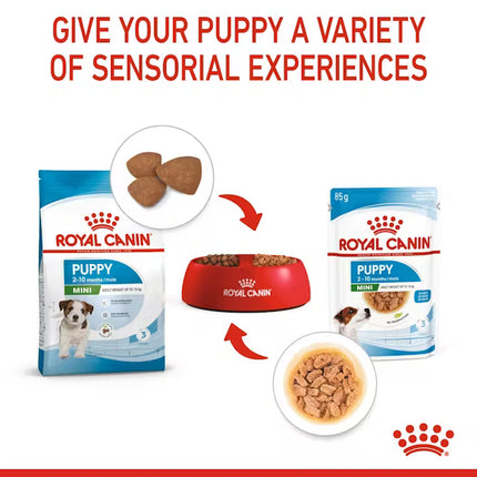 Royal Canin Dog Royal Canin Wet Food Chunks in Gravy for Mini Breed Puppies Up to 10 kg 85 gr
