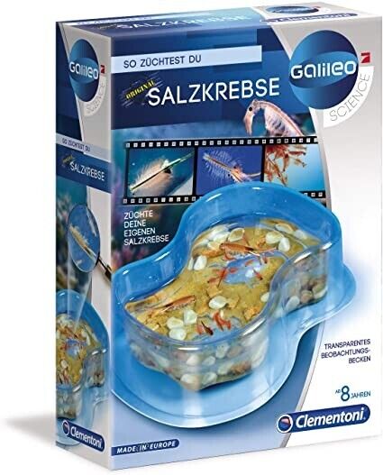 روبيان كليمنتوني المالح