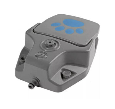 ZooFari Dog Step-On-Water