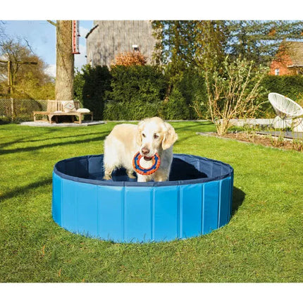 مسبح زوفاري للكلاب