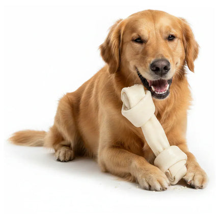 Scooby Dog Scooby Chew Premium 100% Natural Knotted Bone Treat for Dogs 25 cm