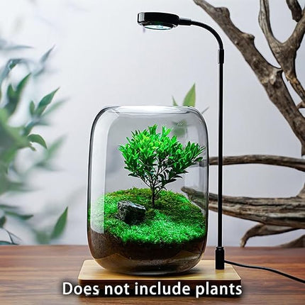 SEBO Fish Glass Plant Terrarium Vase Size 22x14