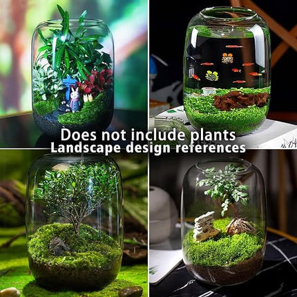 SEBO Fish Glass Plant Terrarium Vase Size 22x14