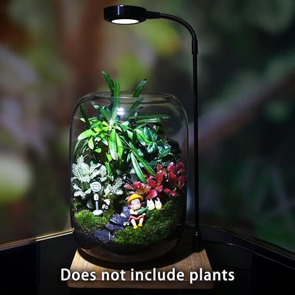 SEBO Fish Glass Plant Terrarium Vase Size 22x14