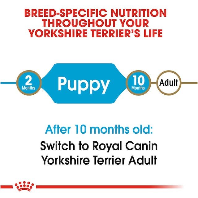 Royal Canin Dry Food for Yorkshire Terrier Puppies Up to 12 Months 1.5 kg