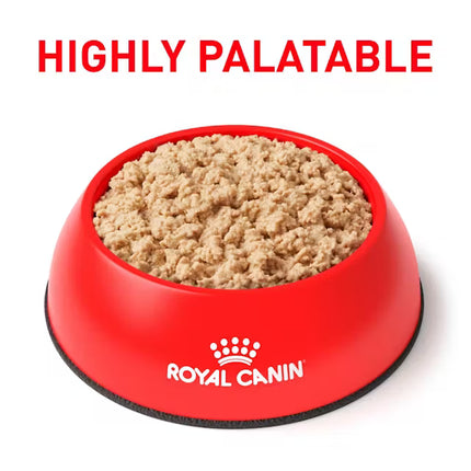 Royal Canin Recovery Ultra Soft Mousse Wet Food for Diabetic Pets 195 gr