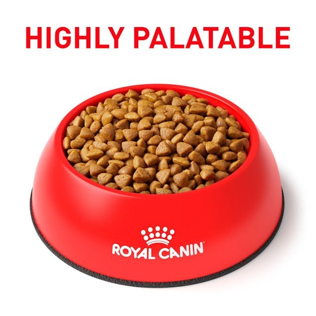 Royal Canin Feline Calm Dry Food for cat 2k