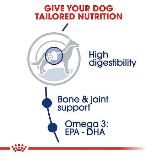 Royal Canin Dry Food for Maxi Breed Adult Dogs +15 Months 15 kg