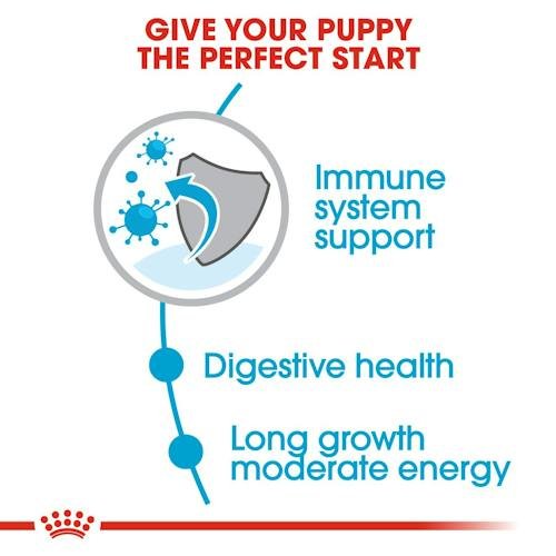 Royal Canin Dry Food for Maxi Breed Puppies Up to 15 Months 4 kg