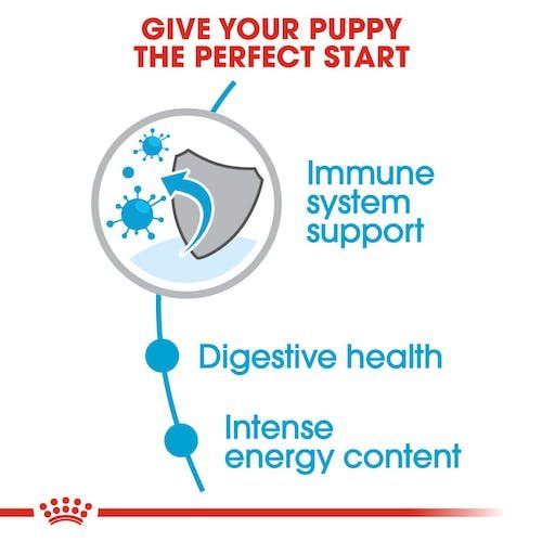 Royal Canin Dry Food for Mini Breed Puppies Up to 10kg 4 kg