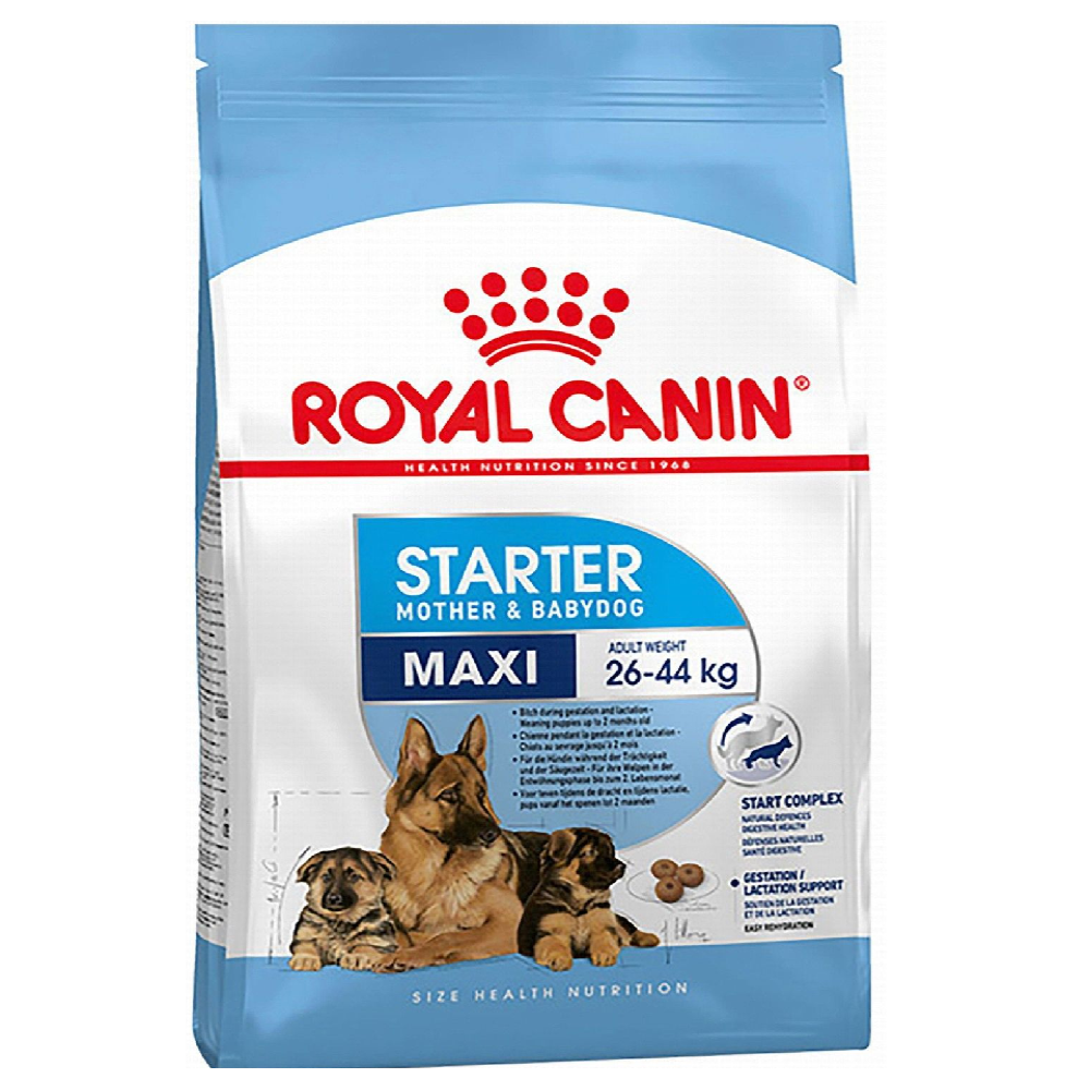 Royal Canin Starter Dry Food for Maxi Breed Mother and Baby Dogs 4 kg