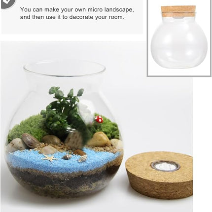 Sobo Fish Round Glass Terrarium Jar with Cork Lid and LED Light