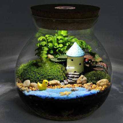 Sobo Fish Round Glass Terrarium Jar with Cork Lid and LED Light