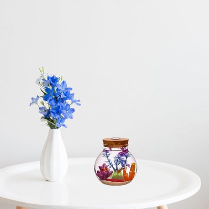 Sobo Fish Round Glass Terrarium Jar with Cork Lid and LED Light