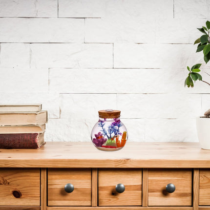 Sobo Fish Round Glass Terrarium Jar with Cork Lid and LED Light