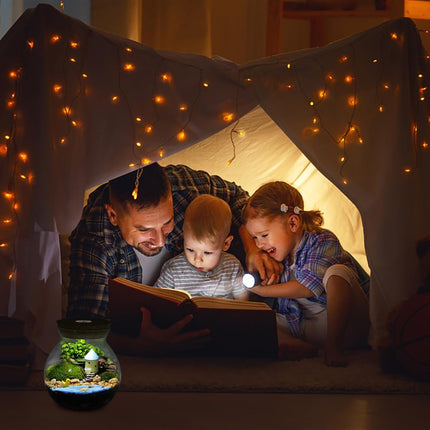 Sobo Fish Round Glass Terrarium Jar with Cork Lid and LED Light