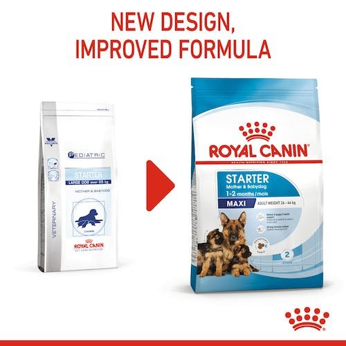 Royal Canin Starter Dry Food for Maxi Breed Mother and Baby Dogs 4 kg