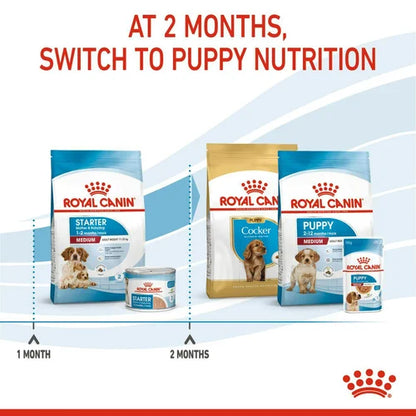 Royal Canin Starter Dry Food for Medium Breed Mother and Baby Dogs 4 kg