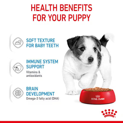 Royal Canin Wet Food Chunks in Gravy for Mini Breed Puppies Up to 10 kg 85 gr