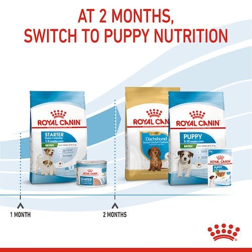 Royal Canin Starter Dry Food for Mini Breed Mother and Baby Dogs 1 kg