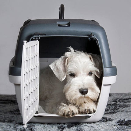 Stefanplast Dog and cat Stefanplast Gulliver 2 Plastic Door Dark gray/Travertine white